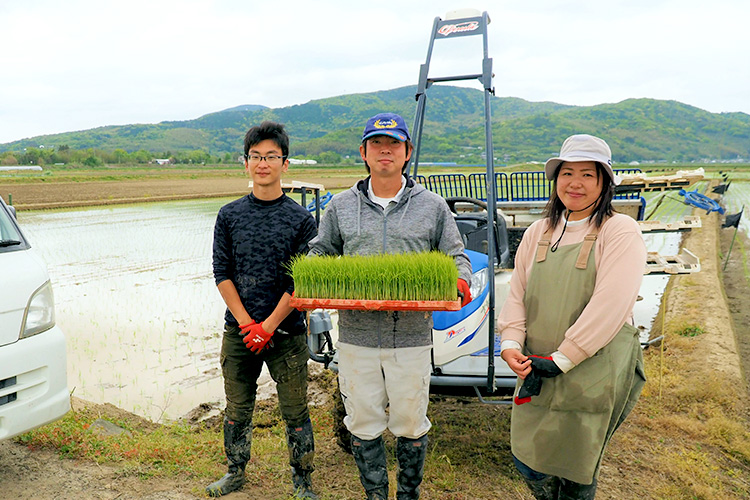米作りの基礎や生産技術